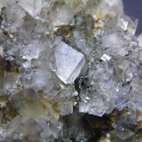 Fluorite
80x70mm
(Autor: Heimo Hellwig)