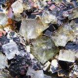 Fluorite
80x70mm
(Autor: Heimo Hellwig)