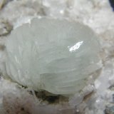 Prehnite, Quartz
55x50mm
(Autor: Heimo Hellwig)