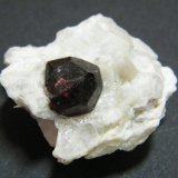 Garnet (Group)
30x30mm
(Autor: Heimo Hellwig)