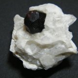Garnet (Group)
30x30mm
(Autor: Heimo Hellwig)