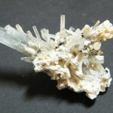 Beryl (variety aquamarine)
45x40mm
(Autor: Heimo Hellwig)