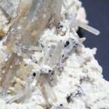 Beryl (variety aquamarine)
75x40x45mm
(Autor: Heimo Hellwig)