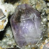 Quartz (variety amethyst)
65x80x60mm
(Autor: Heimo Hellwig)