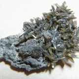 Wulfenite
45x25mm
(Autor: Heimo Hellwig)