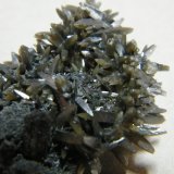 Wulfenite
45x25mm
(Autor: Heimo Hellwig)