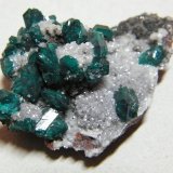 Dioptase on Calcite
50x35mm
(Autor: Heimo Hellwig)