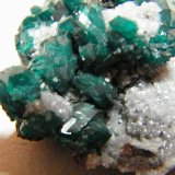 Dioptase on Calcite
50x35mm
(Autor: Heimo Hellwig)