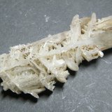 Cerussite
65x20x20mm
(Autor: Heimo Hellwig)