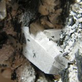 Schorl and Quartz
250x190x100mm
(Autor: Heimo Hellwig)