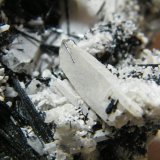 Schorl and Quartz
250x190x100mm
(Autor: Heimo Hellwig)