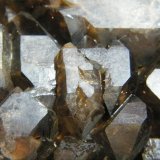 Quartz (variety smoky)
160x110x80mm
(Autor: Heimo Hellwig)