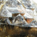 Quartz (variety smoky)
160x110x80mm
(Autor: Heimo Hellwig)