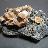 Siderite
105x60x50mm
(Autor: Heimo Hellwig)