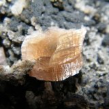 Siderite
105x60x50mm
(Autor: Heimo Hellwig)