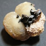Smithsonite
30x35x30mm
(Autor: Heimo Hellwig)