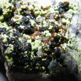 Chenevixite, Ferrilotharmeyerite and Olivenite
40x35x30mm
(Autor: Heimo Hellwig)