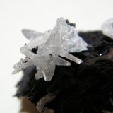 Cerussite
45x35x20mm
(Autor: Heimo Hellwig)