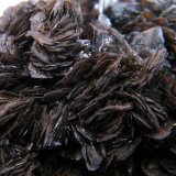 Descloizite
130x110x80mm
(Autor: Heimo Hellwig)