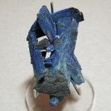 Azurite
40x60x15mm
(Autor: Heimo Hellwig)