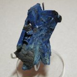 Azurite
40x60x15mm
(Autor: Heimo Hellwig)