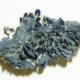 Azurite
60x35x15mm
(Autor: Heimo Hellwig)