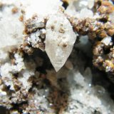 Cerussite and Smithsonite
70mmx85mmx35mm
(Autor: Heimo Hellwig)
