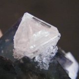 Fluorite, Quartz
90x70x45mm
(Autor: Heimo Hellwig)