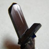 Azurite
20mmx35mmx10mm
(Autor: Heimo Hellwig)
