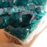 Dioptase
35mmx30mmx25mm
(Autor: Heimo Hellwig)