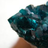 Dioptase
35mmx30mmx25mm
(Autor: Heimo Hellwig)