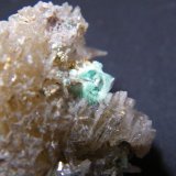 Cerussite and Malachite
40mmx40mmx35mm
(Autor: Heimo Hellwig)