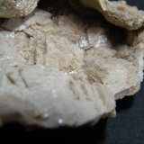 Dolomite
130mmx45mmx65mm
(Autor: Heimo Hellwig)
