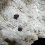 Cuprite on Dolomite
130mmx45mmx65mm
(Autor: Heimo Hellwig)