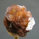 Calcite
20mmx19mm
(Autor: Heimo Hellwig)