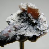 Wulfenite
21mm x 31mm
(Autor: Heimo Hellwig)