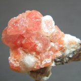 Calcite
27mm x 22mm
(Autor: Heimo Hellwig)