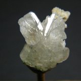 Cerussite
19mm x 21mm
(Autor: Heimo Hellwig)