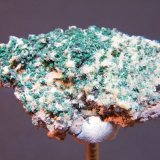 Malachite and Mimetite
43mm x 24mm
(Autor: Heimo Hellwig)