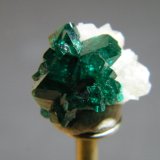 Dioptase
11mm x 13mm
(Autor: Heimo Hellwig)