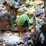Azurite
90mm x 80mm x 55mm
(Autor: Heimo Hellwig)