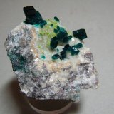 Dioptase on Calcite
70mm x 60mm x 40mm
(Autor: Heimo Hellwig)