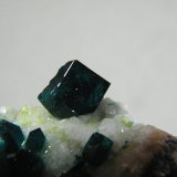 Dioptase on Calcite
70mm x 60mm x 40mm
(Autor: Heimo Hellwig)