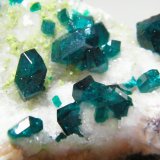 Dioptase on Calcite
70mm x 60mm x 40mm
(Autor: Heimo Hellwig)
