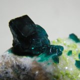 Dioptase on Calcite
70mm x 60mm x 40mm
(Autor: Heimo Hellwig)