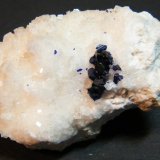 Azurite on Calcite
50mm x 35mm
(Autor: Heimo Hellwig)