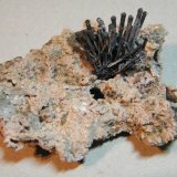 Copper
90mm x 60mm
(Autor: Heimo Hellwig)