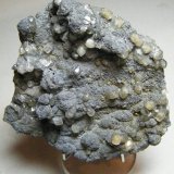 Smithsonite
80mm x 90mm x 35mm
(Autor: Heimo Hellwig)