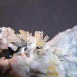 Aragonite and Mimetite
40mm x 50mm x 30mm
(Autor: Heimo Hellwig)