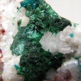 Dioptase and Malachite
35mm x 70mm x 70mm
(Autor: Heimo Hellwig)